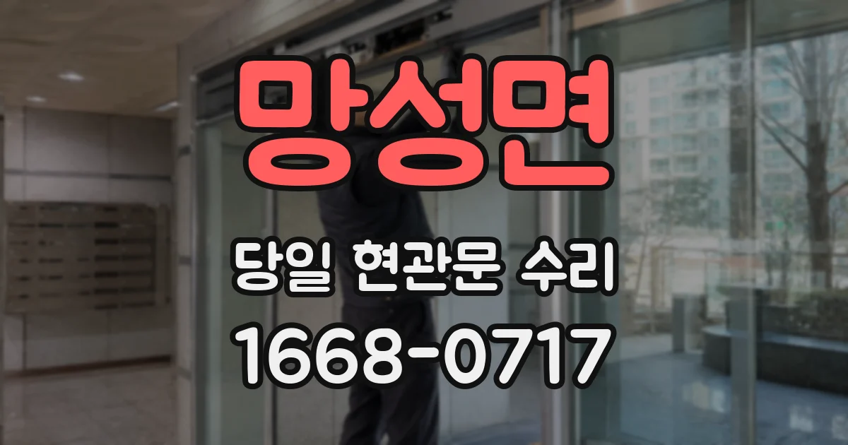 망성면 당일 현관문 수리