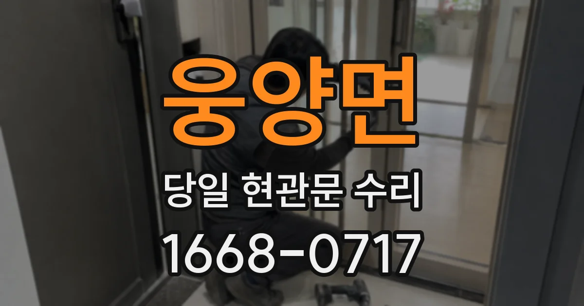 웅양면 당일 현관문 수리