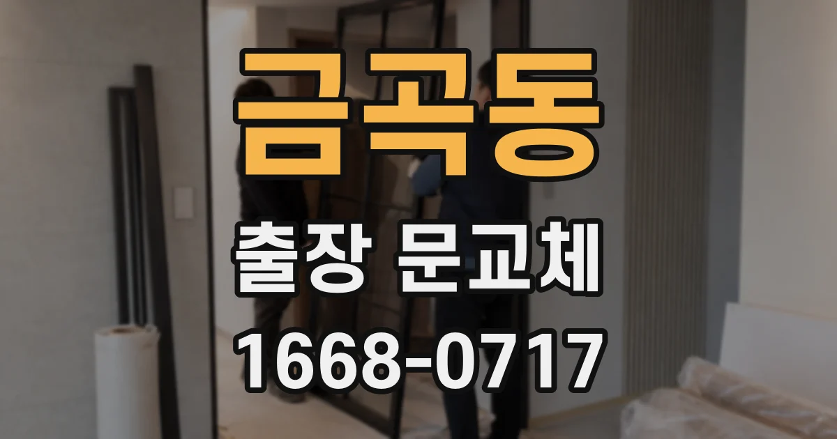 금곡동 출장 문교체