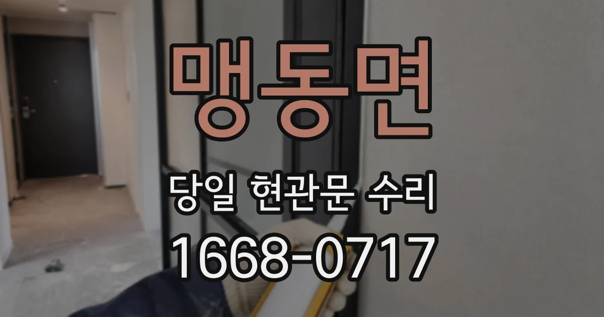 맹동면 당일 현관문 수리