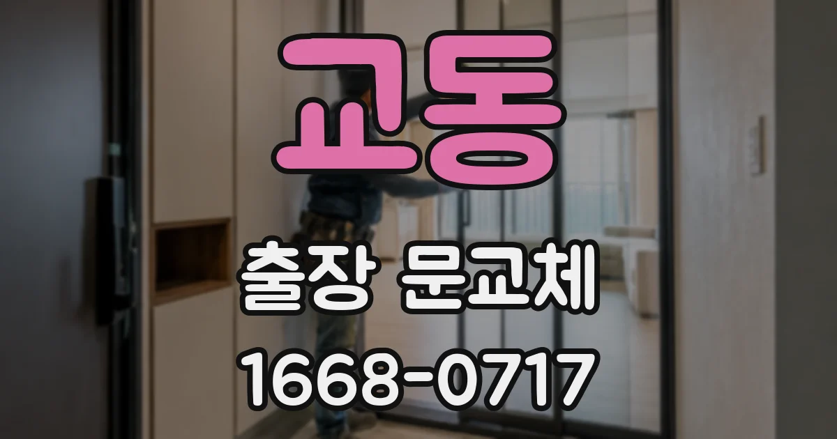교동 출장 문교체