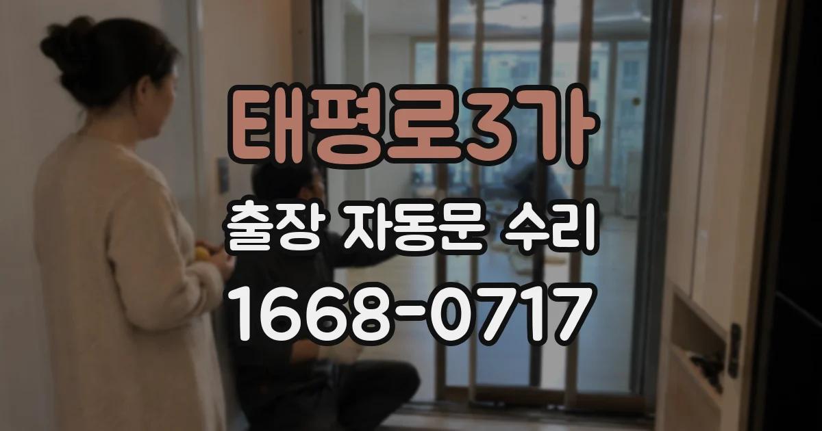 태평로3가 출장 자동문 수리