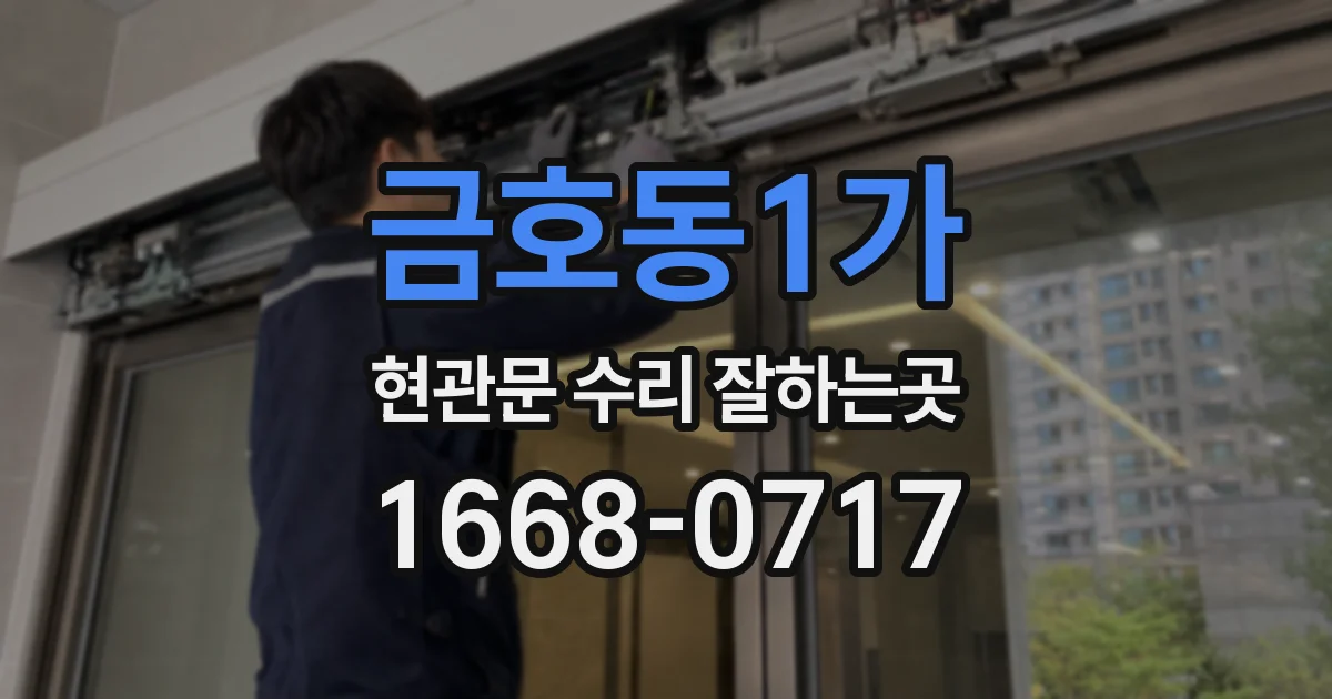 금호동1가 현관문 수리 잘하는곳