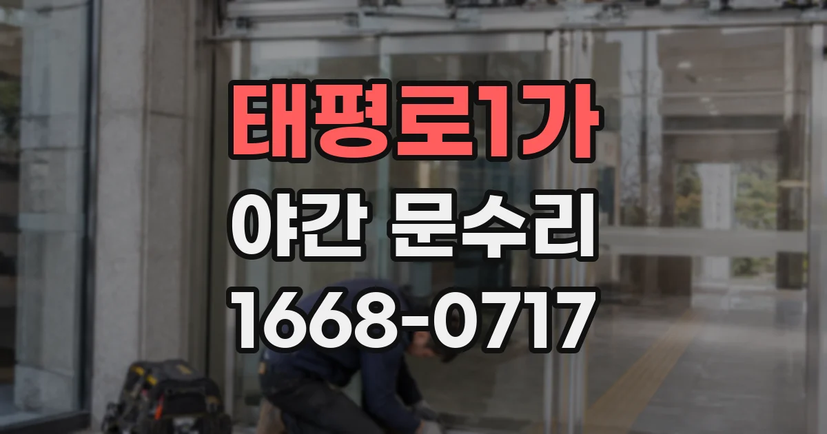 태평로1가 야간 문수리
