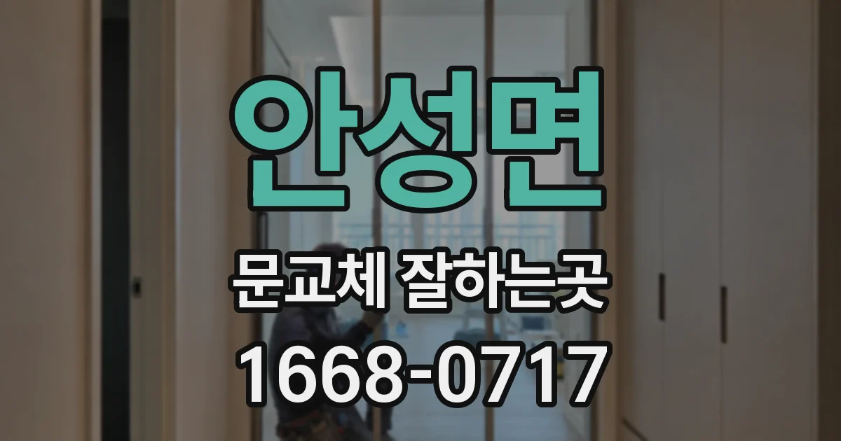 안성면 문교체 잘하는곳