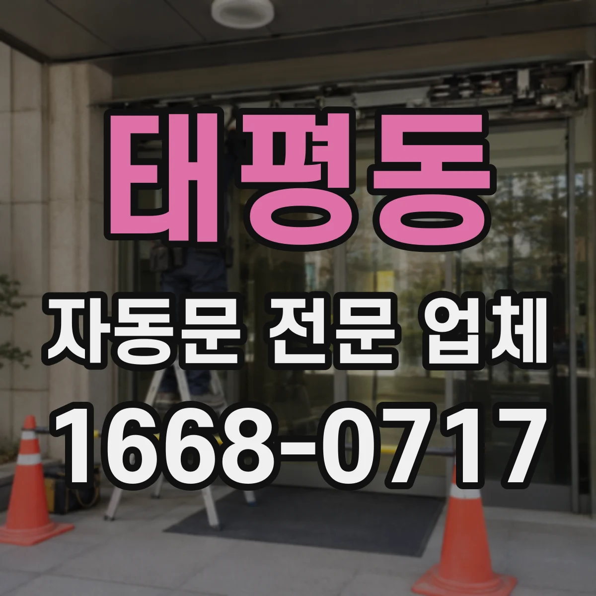 태평동 자동문 전문 업체
