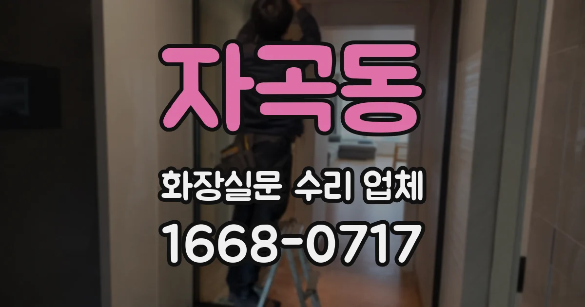 자곡동 화장실문 수리 업체