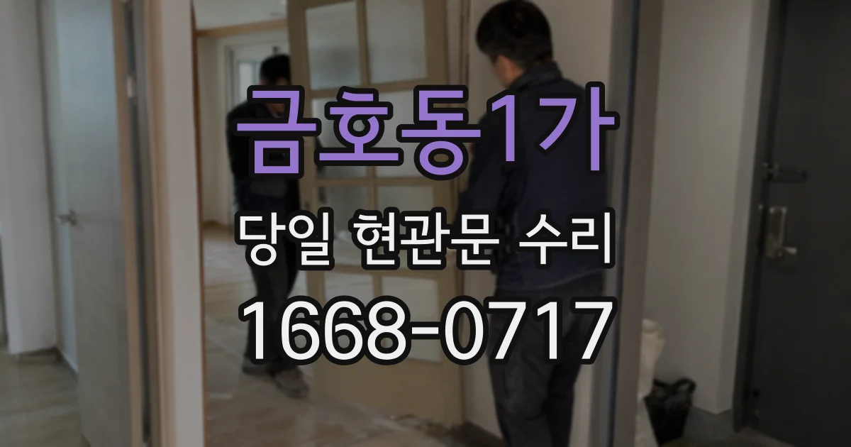 금호동1가 당일 현관문 수리