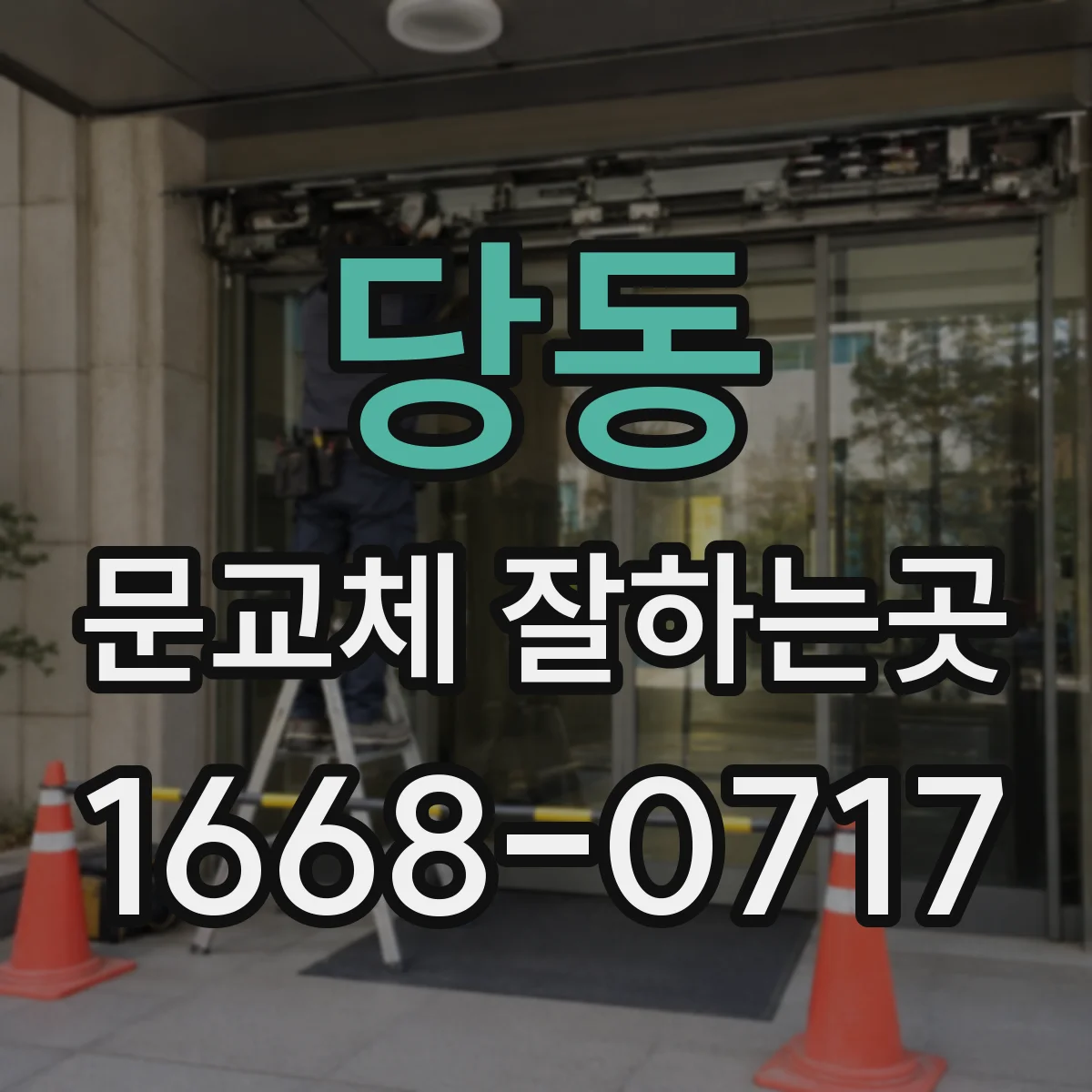 당동 문교체 잘하는곳