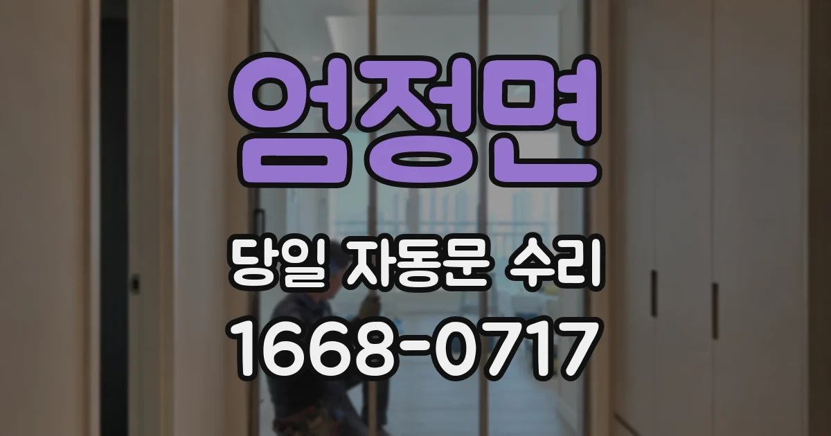 엄정면 당일 자동문 수리