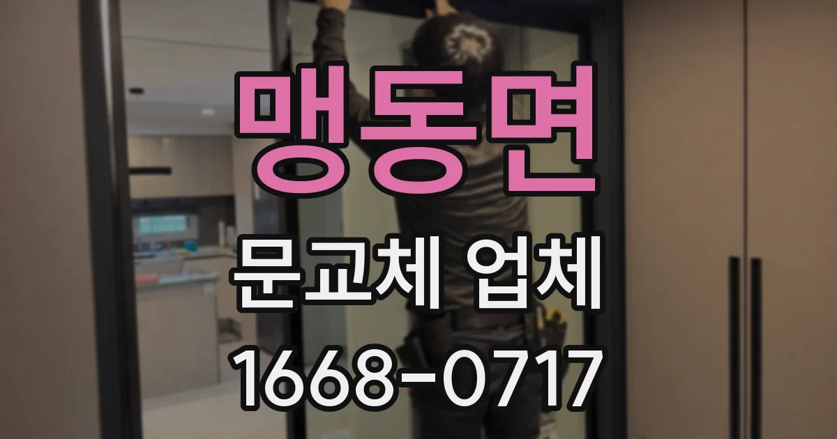 맹동면 문교체 업체