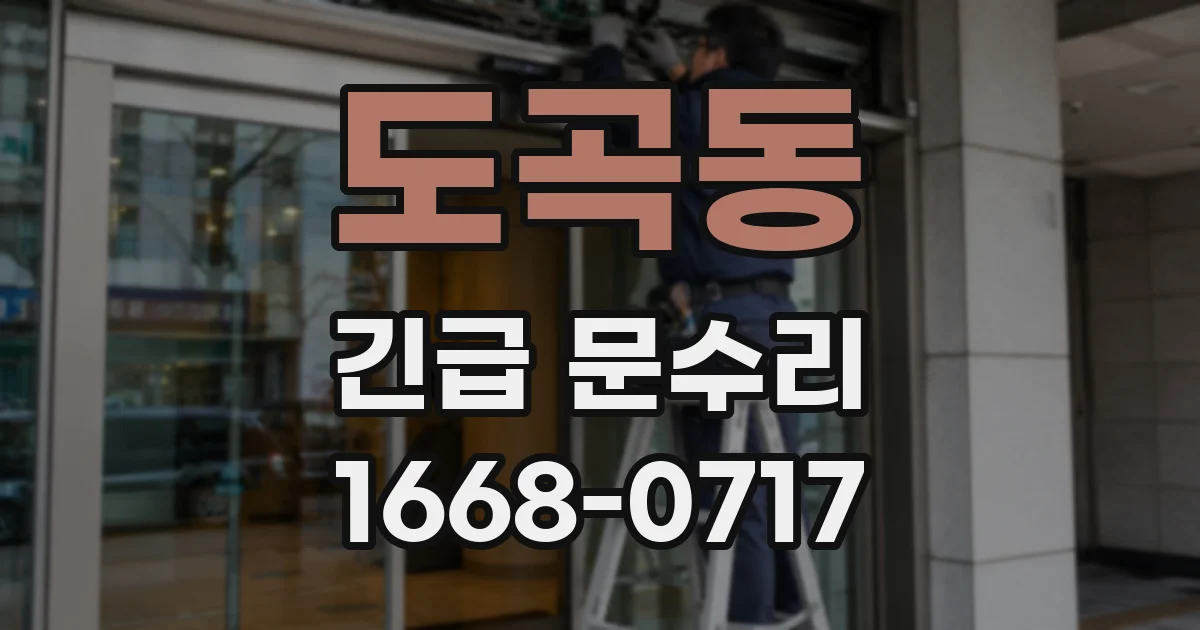도곡동 긴급 문수리
