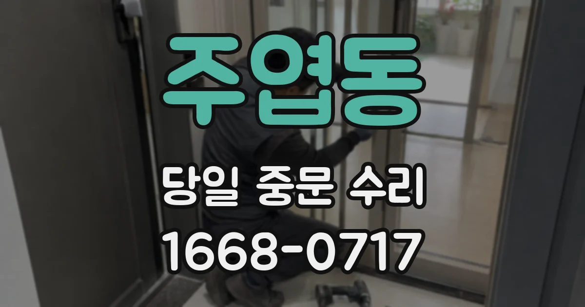 주엽동 당일 중문 수리