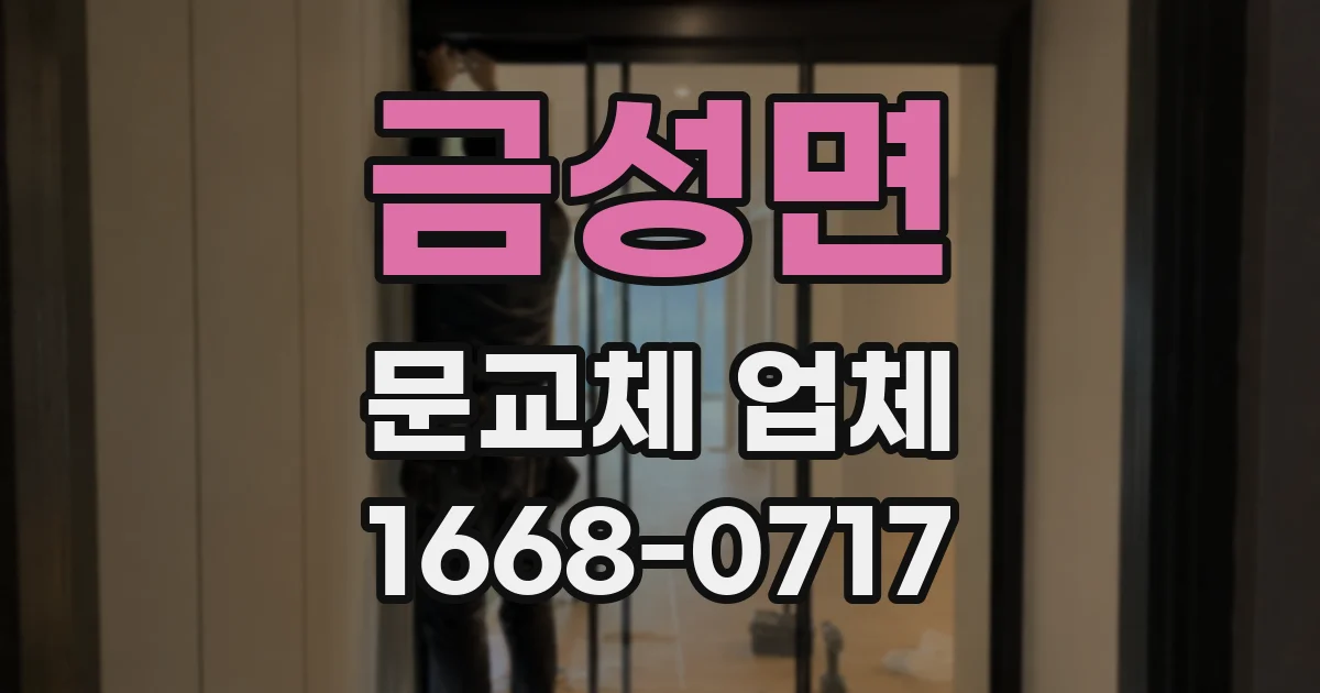 금성면 문교체 업체