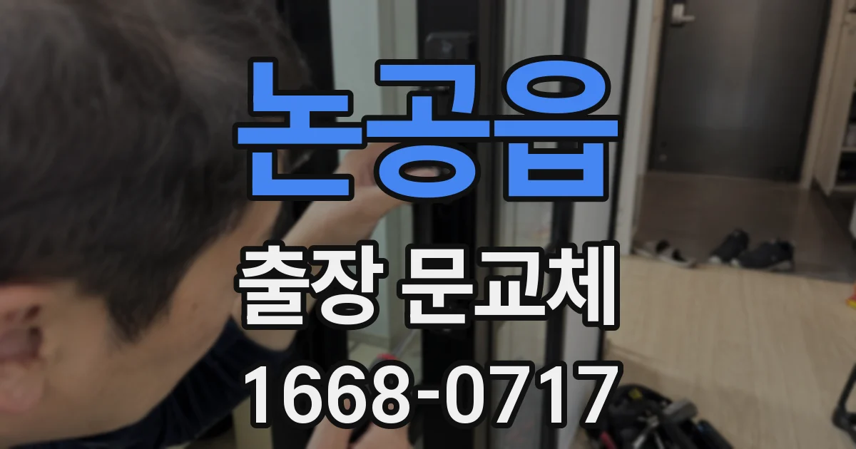 논공읍 출장 문교체