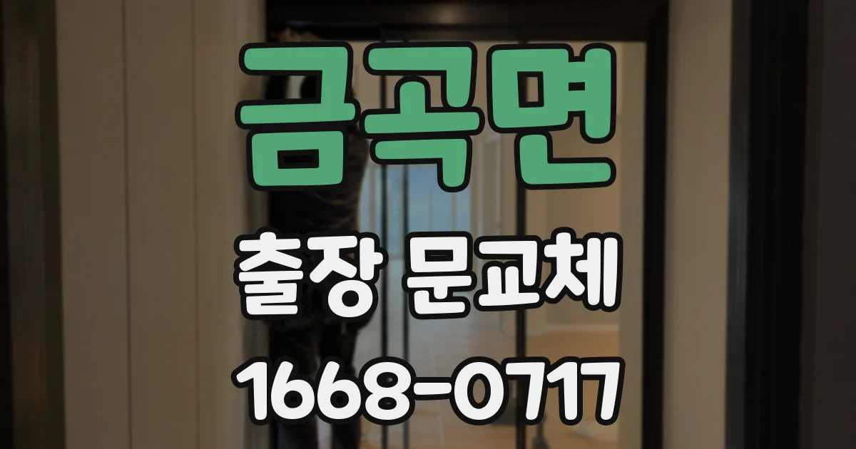 금곡면 출장 문교체