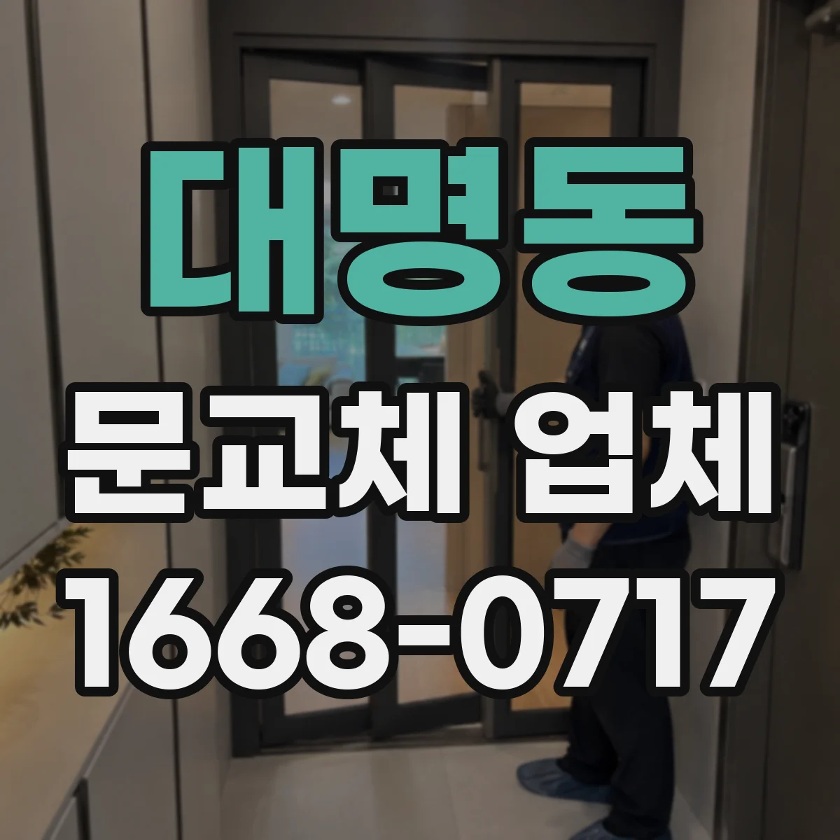 대명동 문교체 업체
