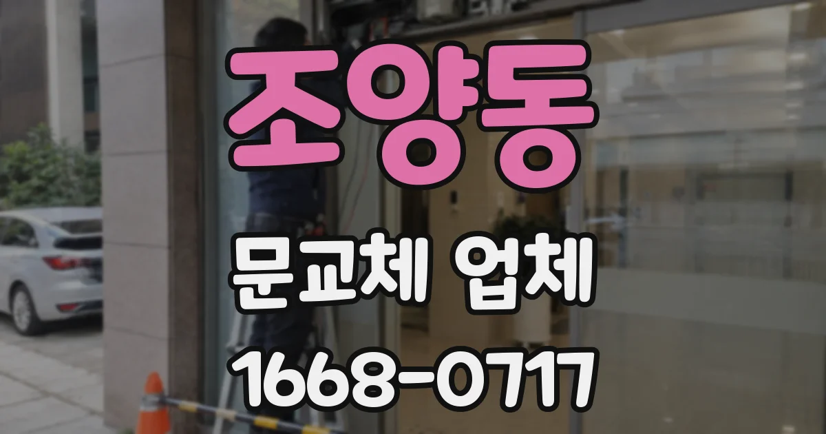 조양동 문교체 업체