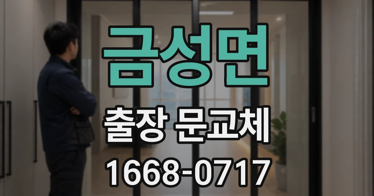 금성면 출장 문교체