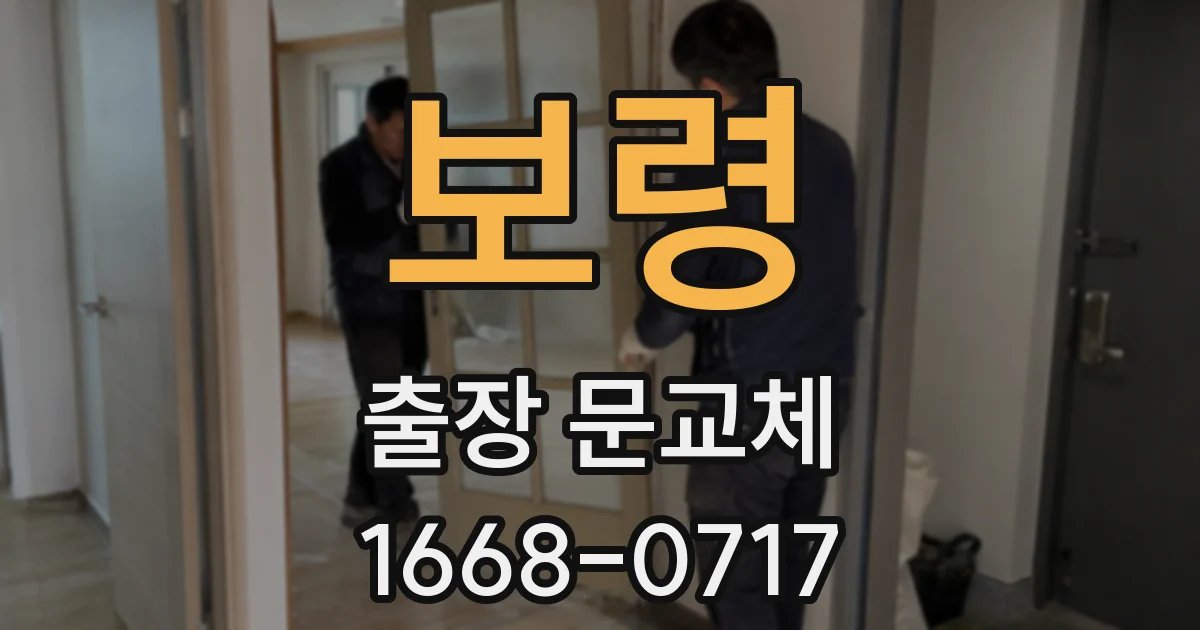 보령 출장 문교체
