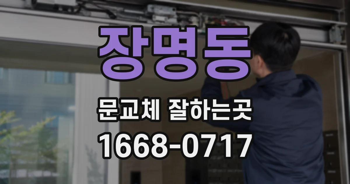 장명동 문교체 잘하는곳