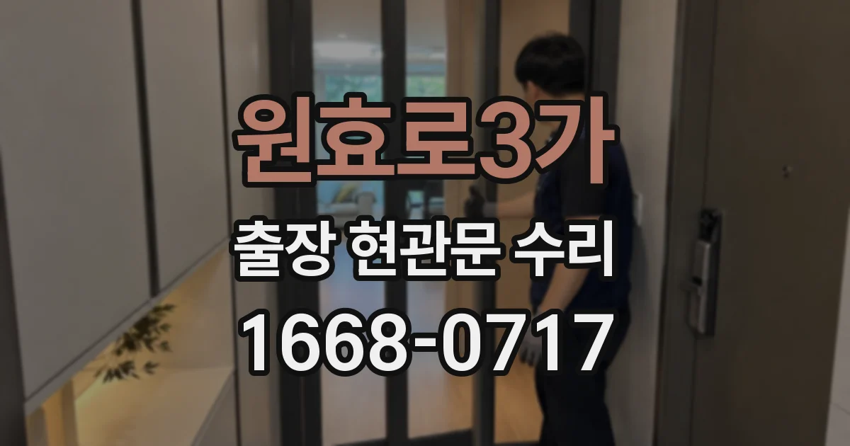 원효로3가 출장 현관문 수리