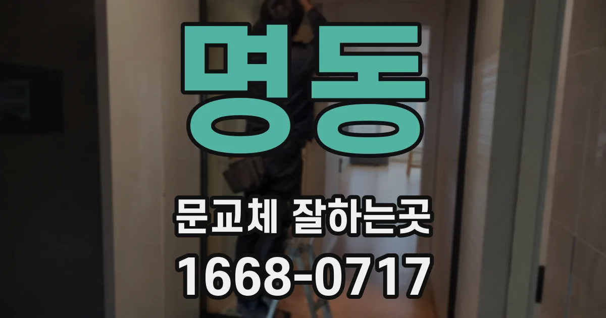 명동 문교체 잘하는곳