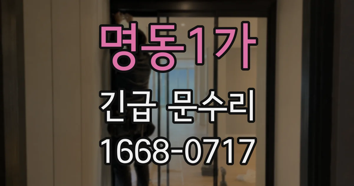 명동1가 긴급 문수리