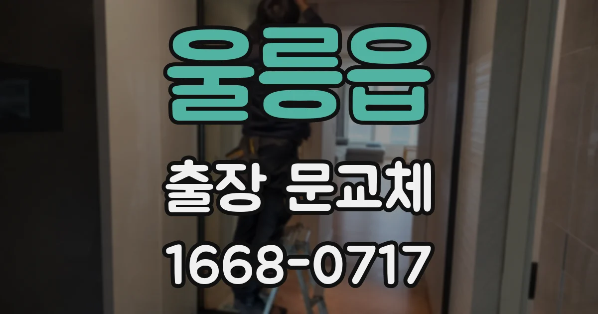 울릉읍 출장 문교체