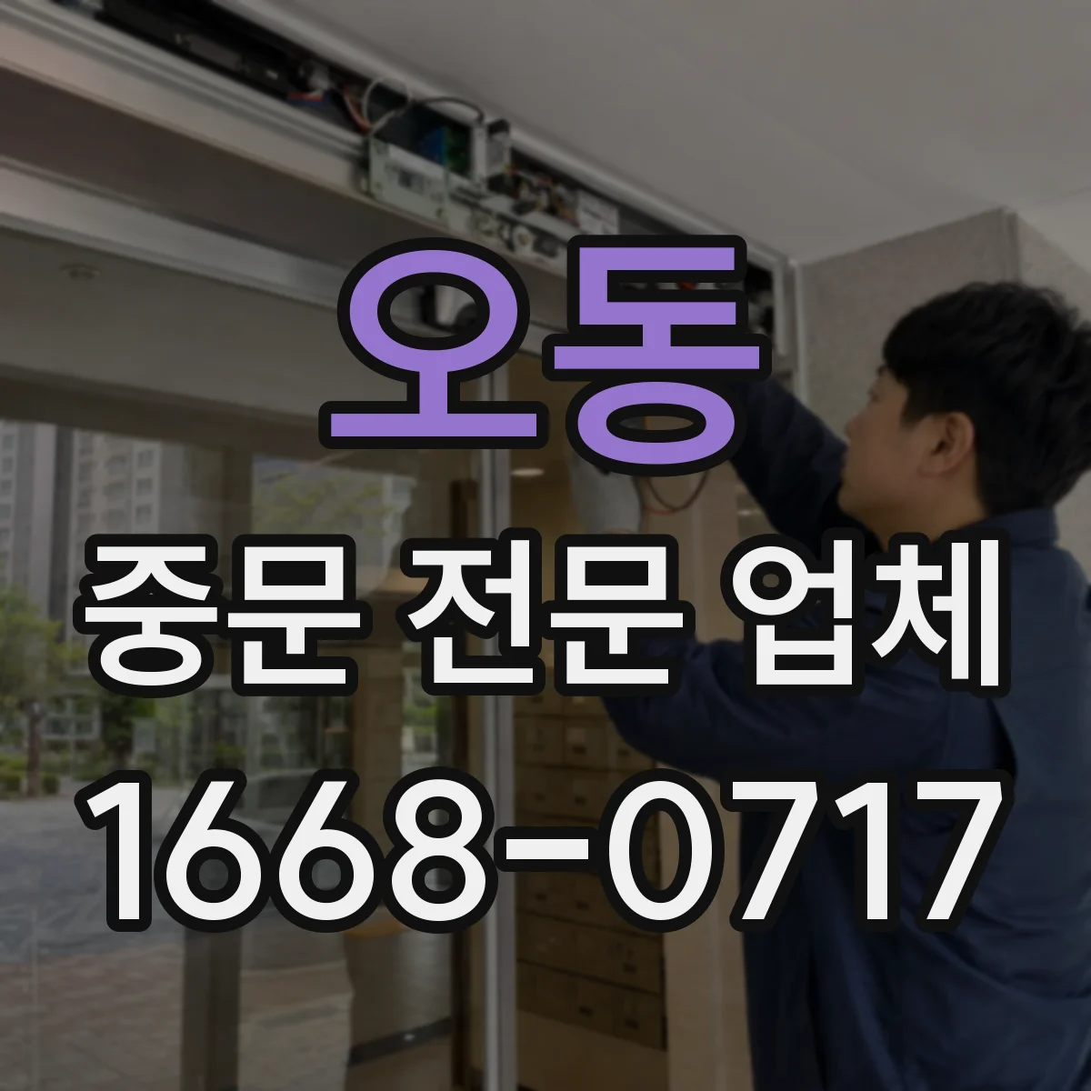 오동 중문 전문 업체