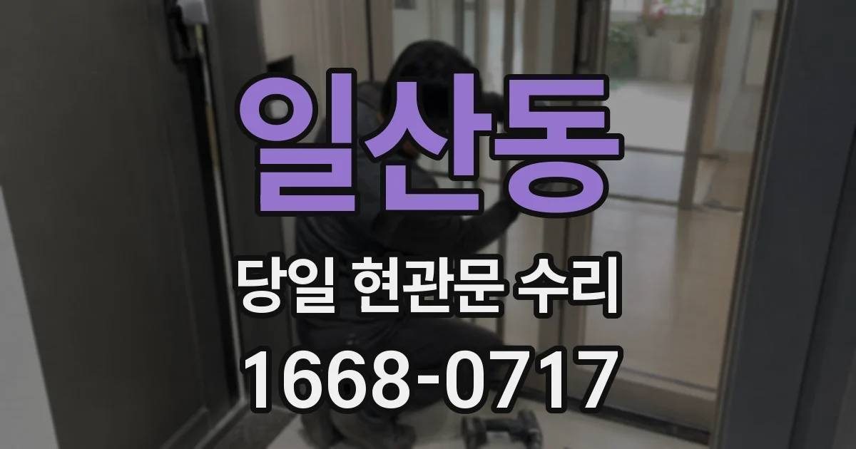 일산동 당일 현관문 수리