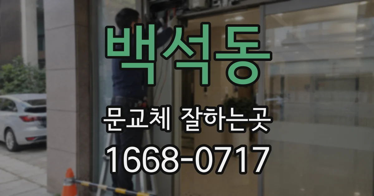 백석동 문교체 잘하는곳