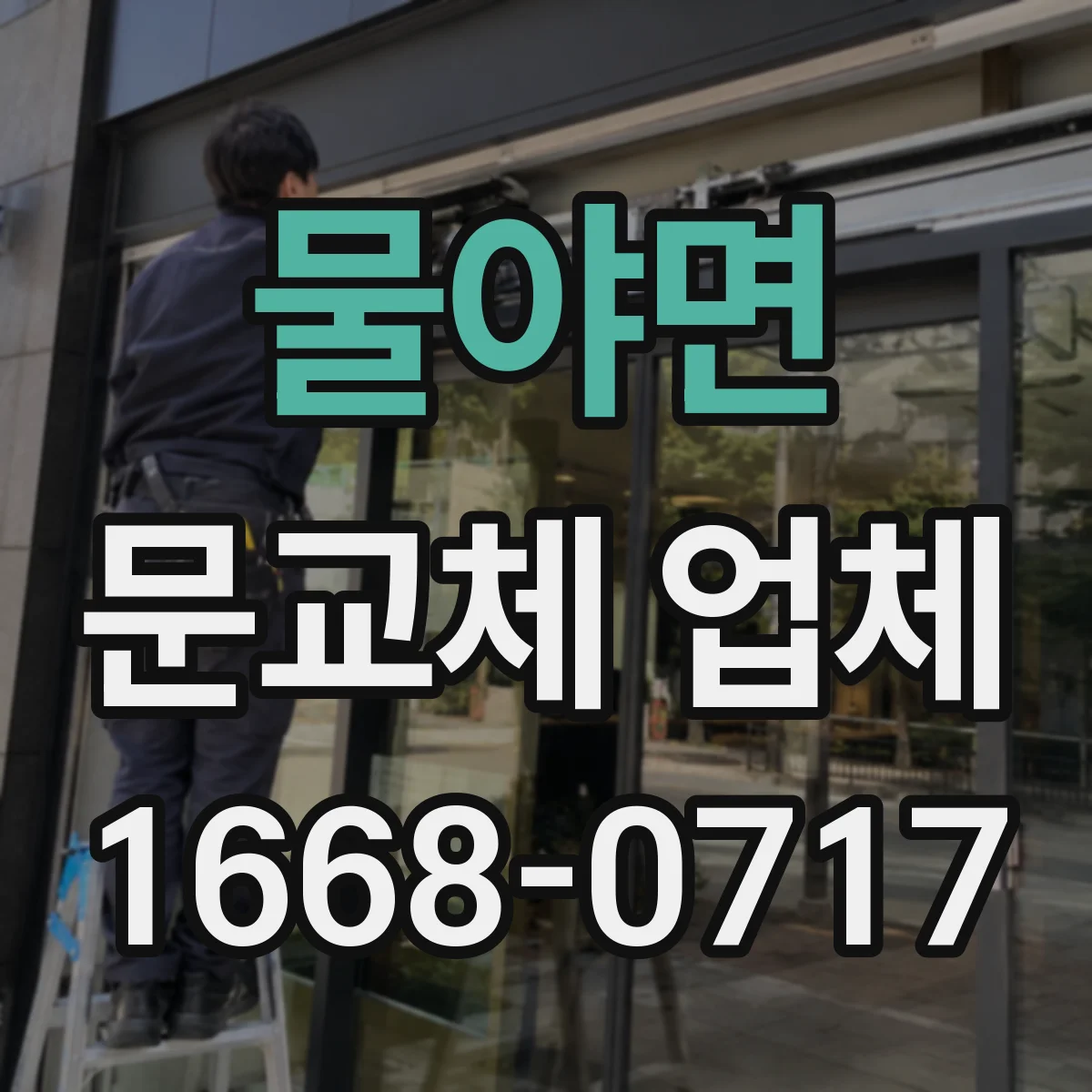 물야면 문교체 업체
