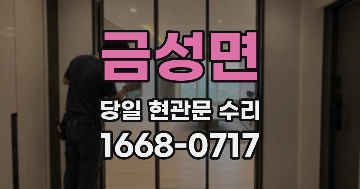 금성면 당일 현관문 수리