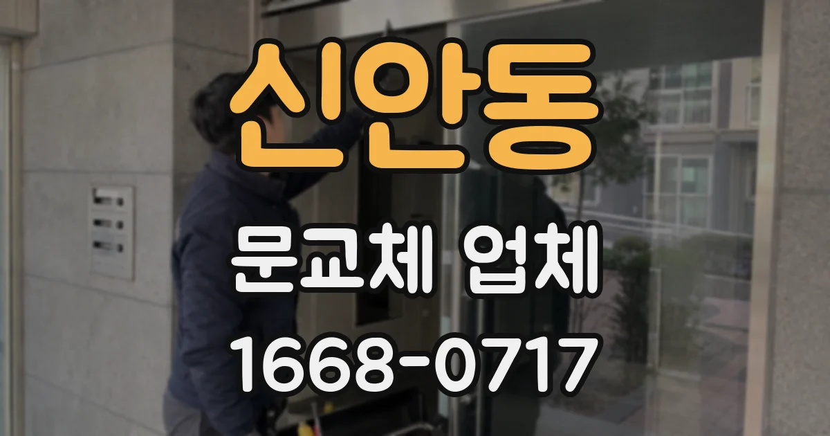 신안동 문교체 업체