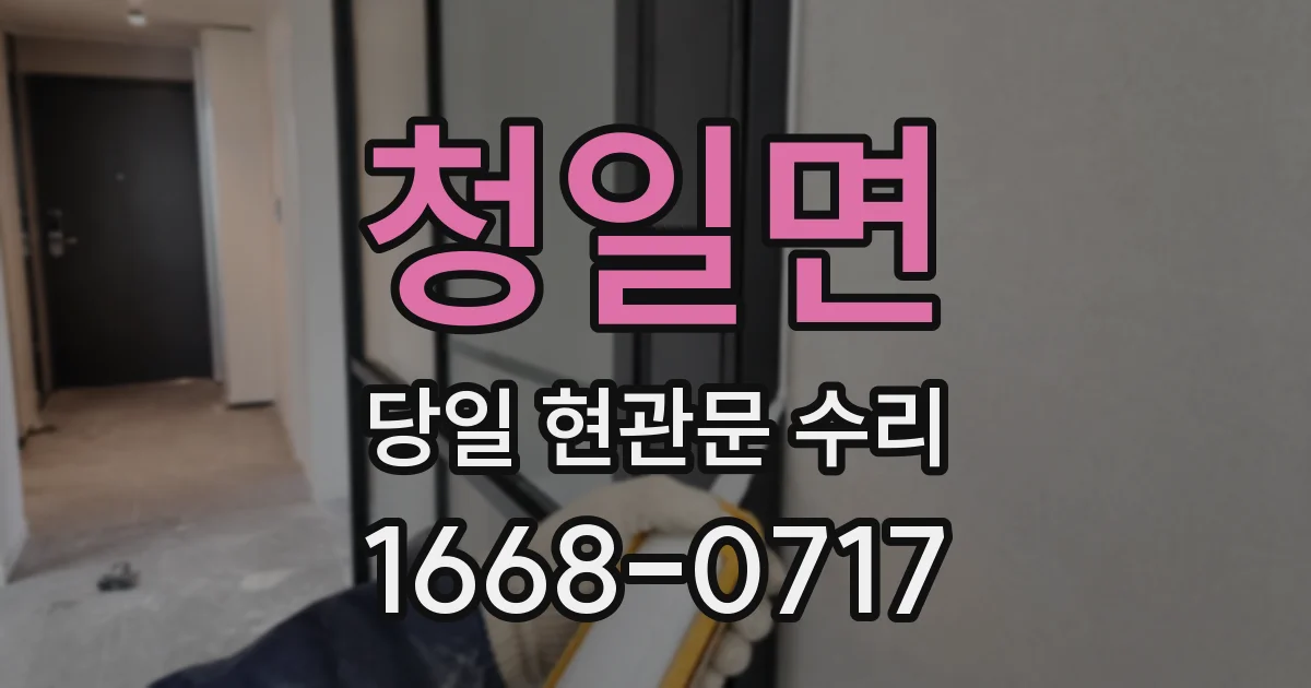 청일면 당일 현관문 수리