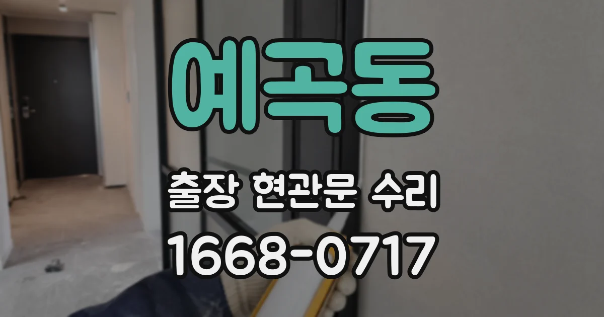 예곡동 출장 현관문 수리