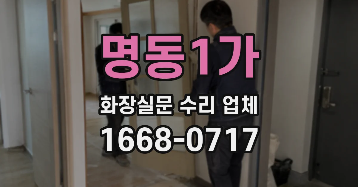 명동1가 화장실문 수리 업체