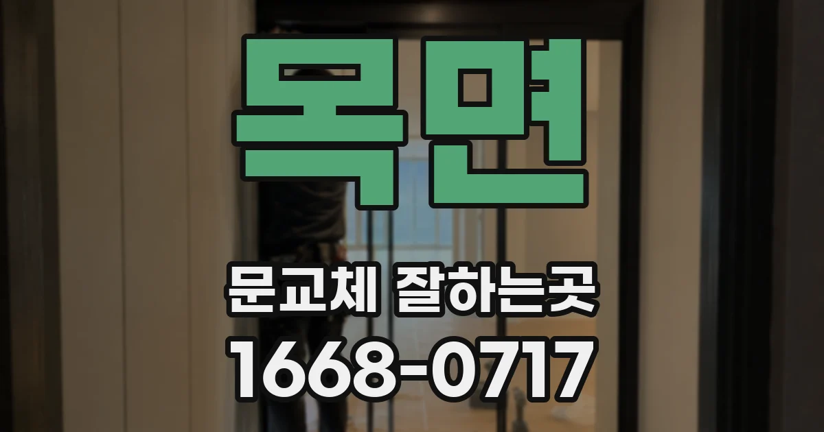 목면 문교체 잘하는곳