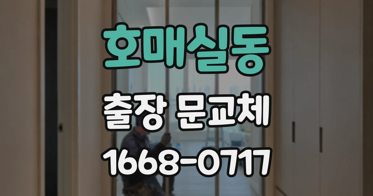 호매실동 출장 문교체
