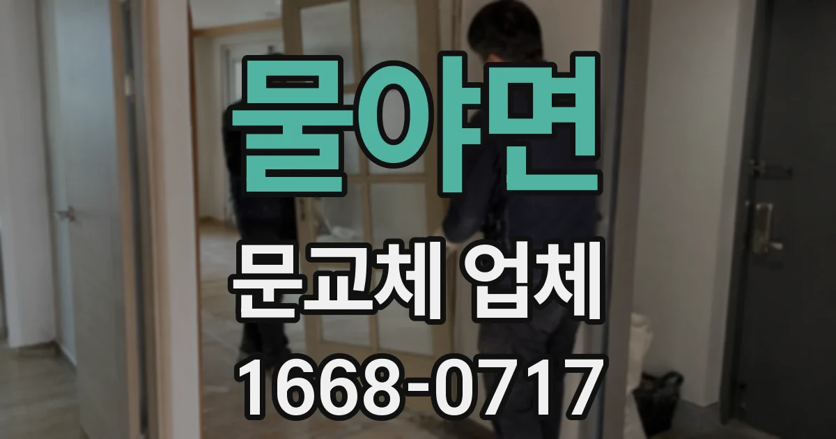 물야면 문교체 업체