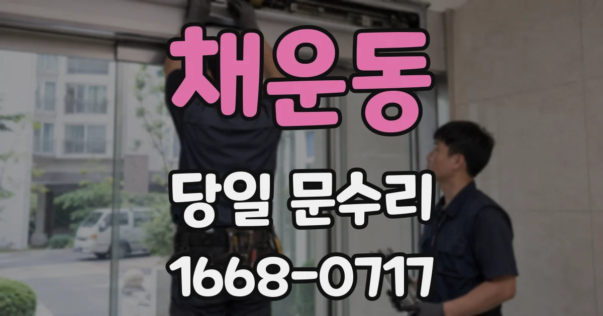 채운동 당일 문수리