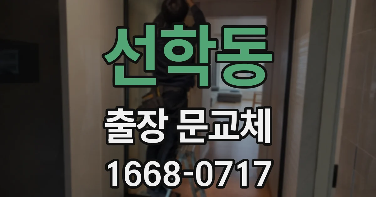 선학동 출장 문교체