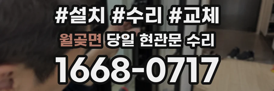 월곶면 당일 현관문 수리