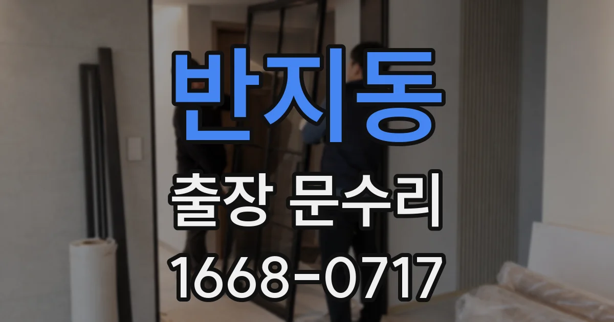 반지동 출장 문수리