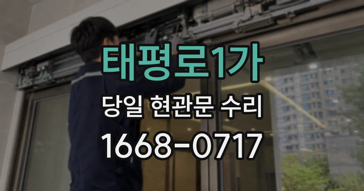 태평로1가 당일 현관문 수리
