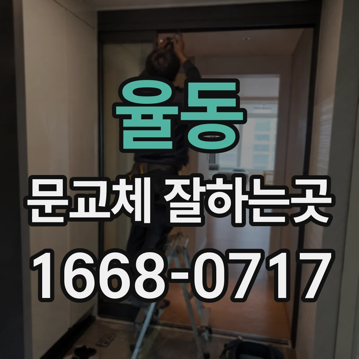 율동 문교체 잘하는곳