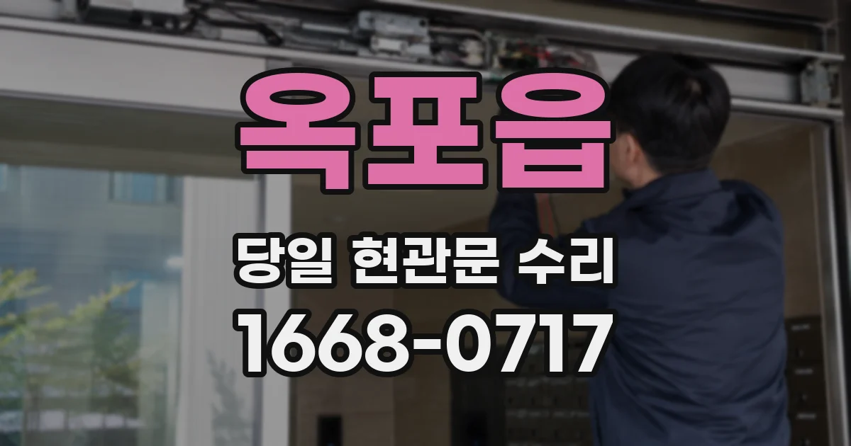 옥포읍 당일 현관문 수리