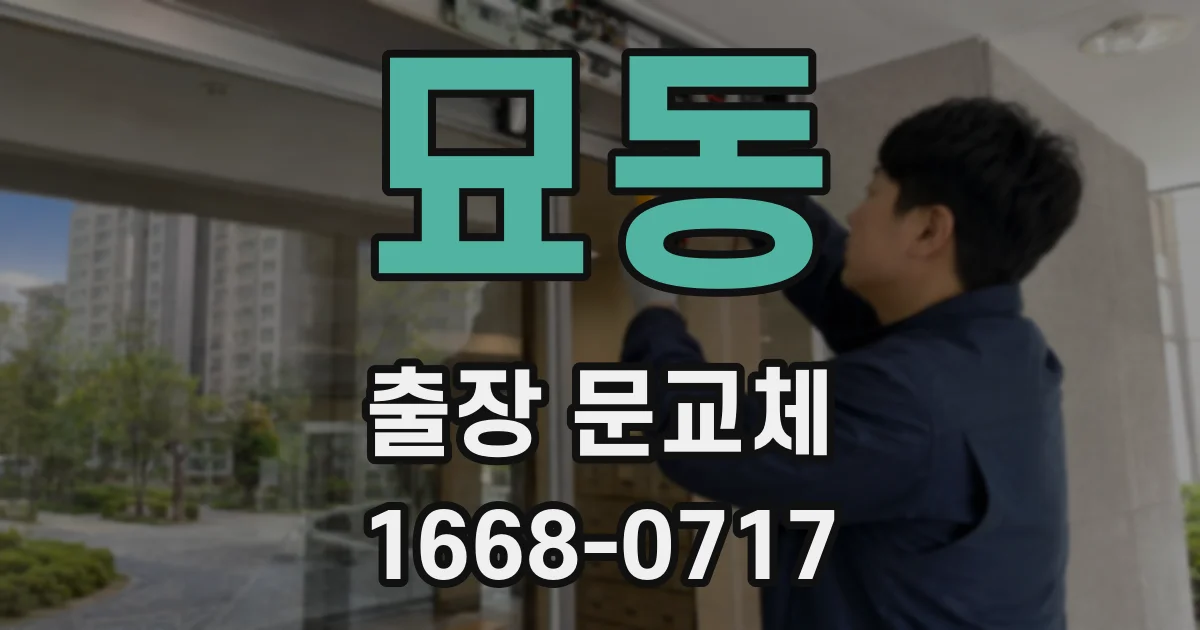 묘동 출장 문교체