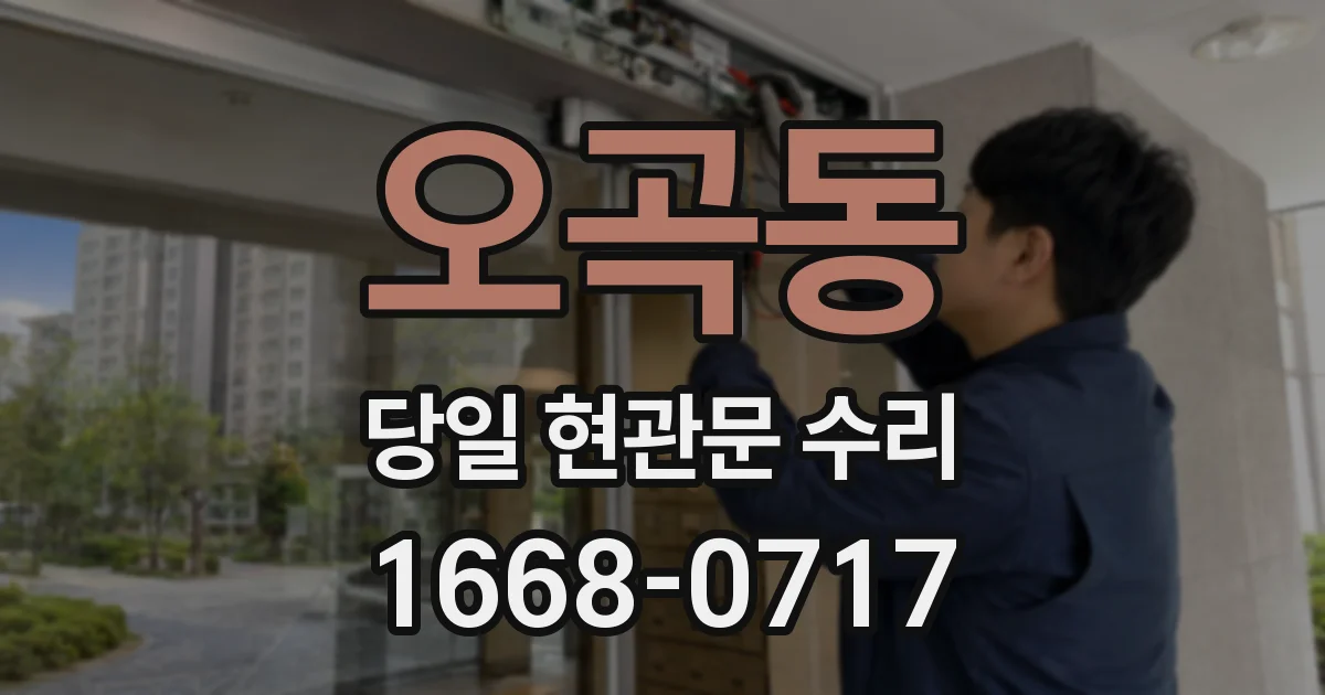 오곡동 당일 현관문 수리